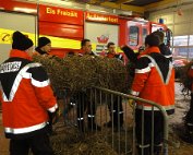 Buergsamschdig 21.2.2015 0021