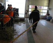Buergsamschdig 21.2.2015 0022