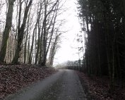Diekirch 18.1.2015 016