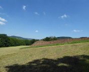 Akerbauschoul 23.6.2016 002
