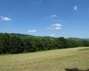 Akerbauschoul 23.6.2016 004