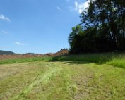 Akerbauschoul 23.6.2016 005