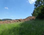 Akerbauschoul 23.6.2016 006