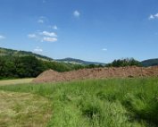 Akerbauschoul 23.6.2016 007