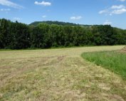 Akerbauschoul 23.6.2016 010