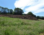 Akerbauschoul 23.6.2016 015