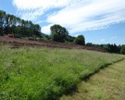 Akerbauschoul 23.6.2016 019