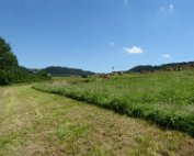 Akerbauschoul 23.6.2016 020