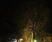 Bréck 20.1.2016 016