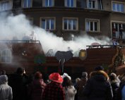 Cavalcade 7.2.2016 014
