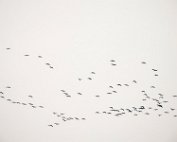 Diekirch 1.3.2016 003