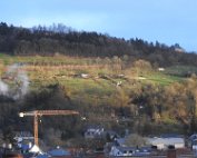 Diekirch 10.1.2016 010
