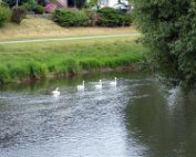 Diekirch 11.7.2016 010