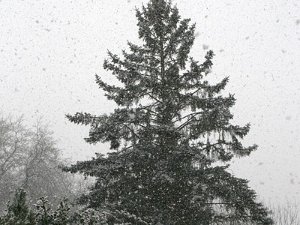 Diekirch 14.1.2016