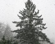 Diekirch 14.1.2016 020