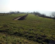 Härebierg 10.3.2016 006