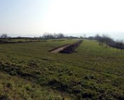 Härebierg 10.3.2016 007