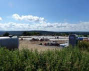 Härebierg 26.6.2016 017