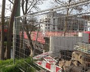 Laubach 14.4.2016 016
