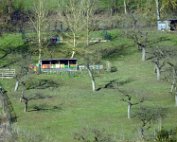 Diekirch 2.3.2016 004