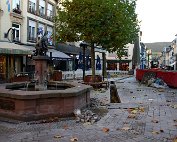 Sonnensegel 2.11.2016 018