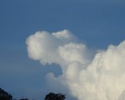 Wolleken 15.6.2016 016