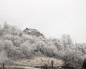1 Schni 2.1.2017 002