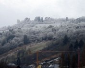 1 Schni 2.1.2017 007