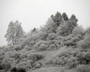 1 Schni 2.1.2017 008
