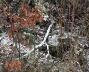 1 Schni 2.1.2017 016