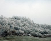 1 Schni 2.1.2017 020