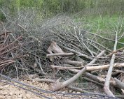 Ackerbauschoul 15.4.2017 009