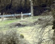 Buergbrennen 5.3.2017 002