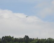 DSCN8574