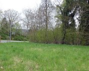 Natur15.4.2017 008