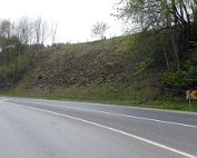 Natur15.4.2017 014