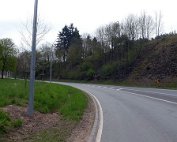 Natur15.4.2017 015