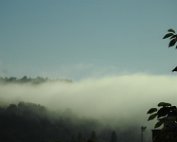 Niwwelll 21.7.2017 003