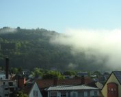 Niwwelll 21.7.2017 013