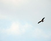 Milan 4.4.2017 006