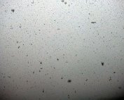 Schni 28.2.2017 007