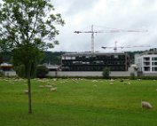 Schof 18.8.2017 010