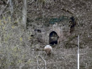 Dikrich 4.2.2018