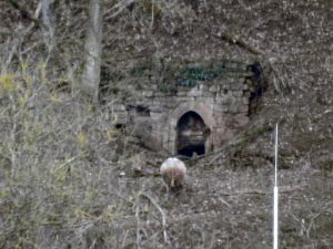 Dikrich 4.2.2018