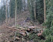Terrain 11.1.2019 018