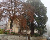 Diekirch 10.11.2020 018