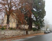 Diekirch 10.11.2020 019
