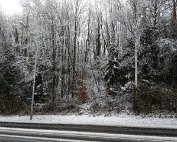 Diekirch 27.2.2020 005