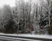 Diekirch 27.2.2020 006