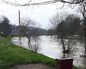 Héischwaasser 7.3.2020 006